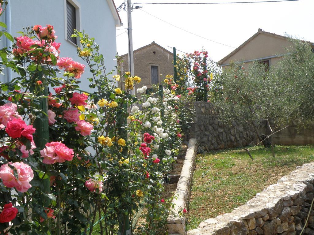 Villa Roze Čižići Exterior foto